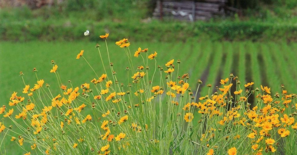 eyecatch.data?.attributes?.title