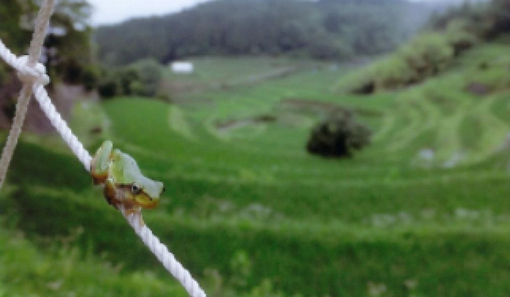 eyecatch.data?.attributes?.title