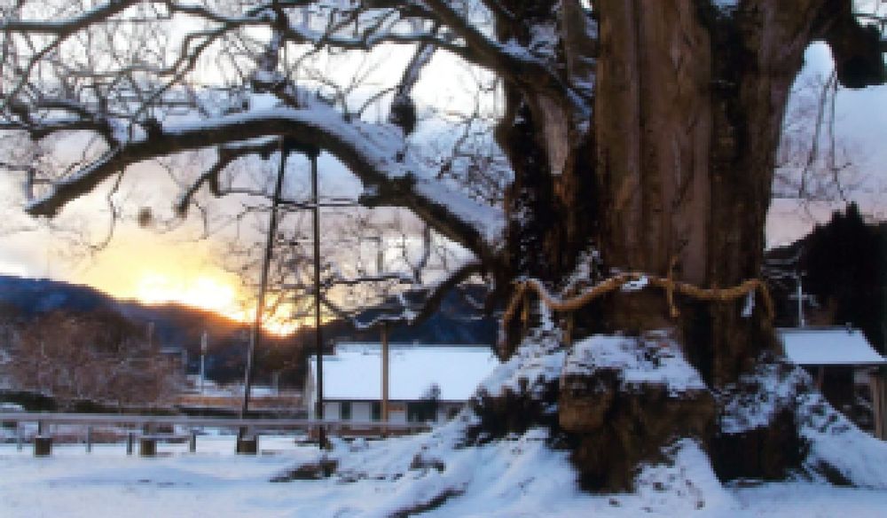 eyecatch.data?.attributes?.title